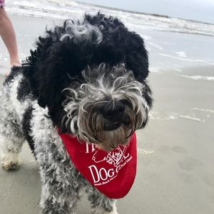 Meet your Posher, Meredith